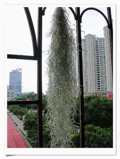 [����]������������������(P6�¶������ж��߱�����)