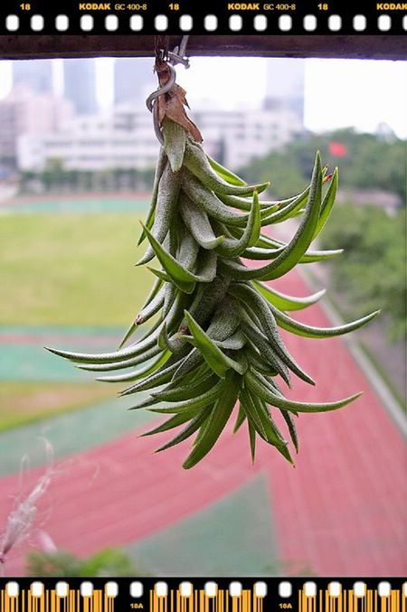 [����]������������������(P6�¶������ж��߱�����)