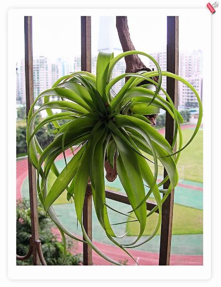 [����]������������������(P6�¶������ж��߱�����)