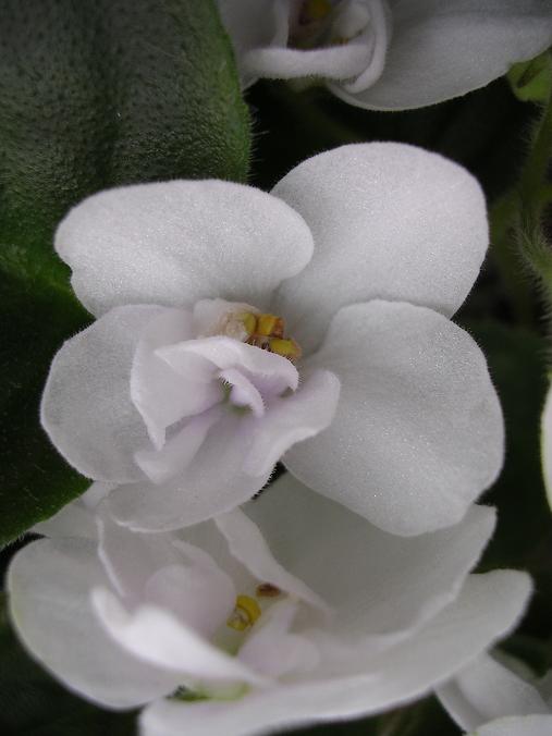 [��ˮ]��������ˮ��