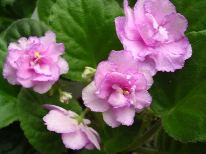 [��ˮ]��������ˮ��