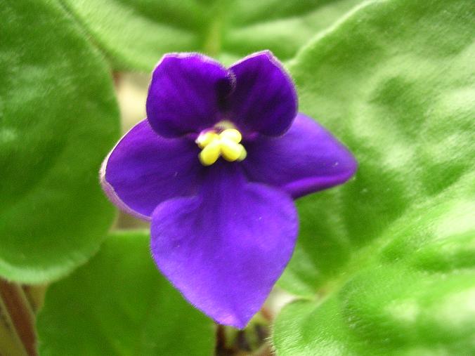 [��ˮ]��������ˮ��