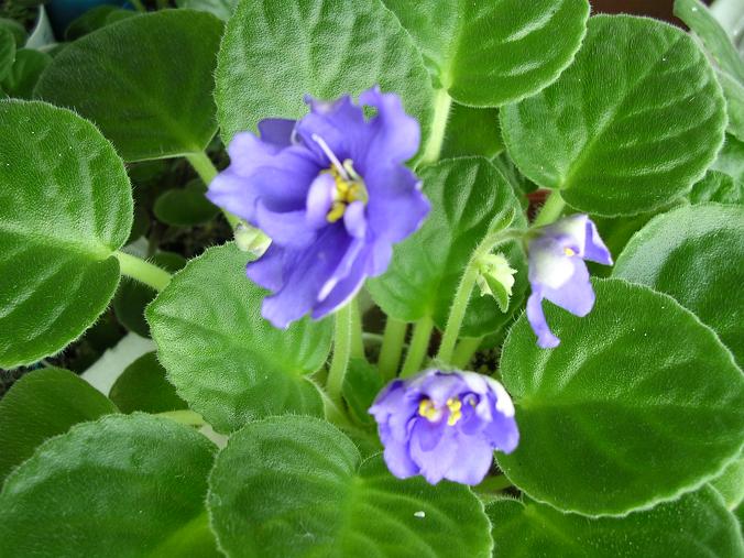 [��ˮ]��������ˮ��