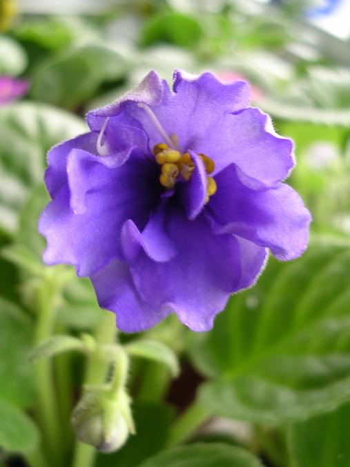 [��ˮ]��������ˮ��