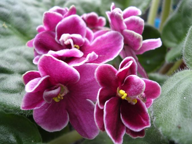 [��ˮ]��������ˮ��