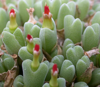 [����]��׶����---55¥��ʼ������ͨ��---