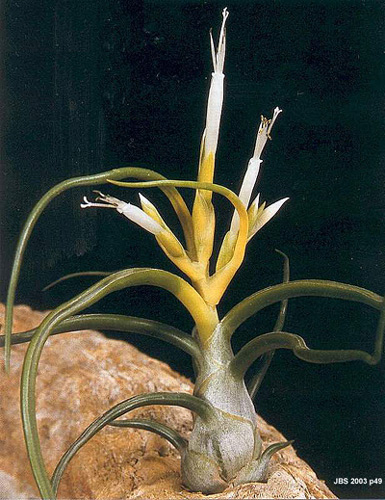 [����]��ؿ����������