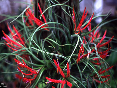 [����]��ؿ����������