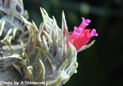 [����]��ؿ����������