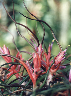 [����]��ؿ����������