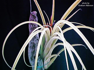 [����]��ؿ����������