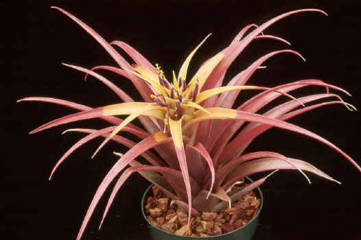 [����]��ؿ����������