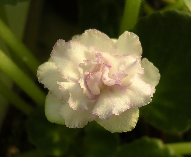 [��ˮ]��������ˮ��