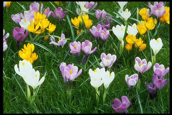 ����Ĵ���Ȼ��������