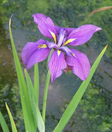 ����Ĵ���Ȼ��������