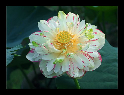 ����Ĵ���Ȼ��������