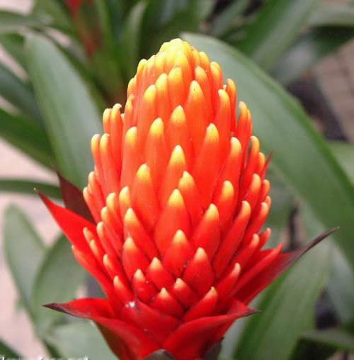 ����Ĵ���Ȼ��������