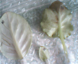 �յ���������ѵ�����