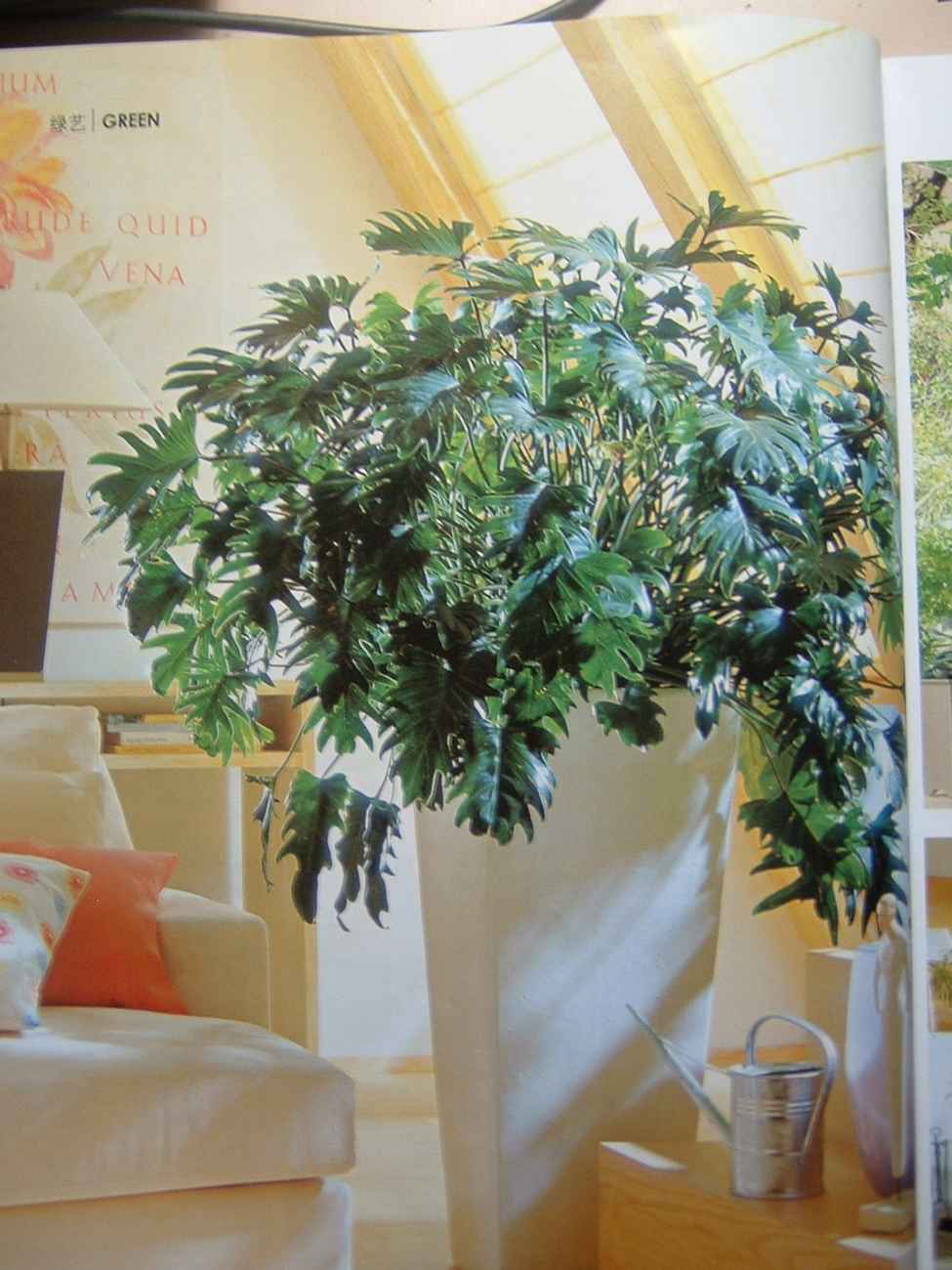 ��һ�ƣ���һ��������Ŀ��������˳�