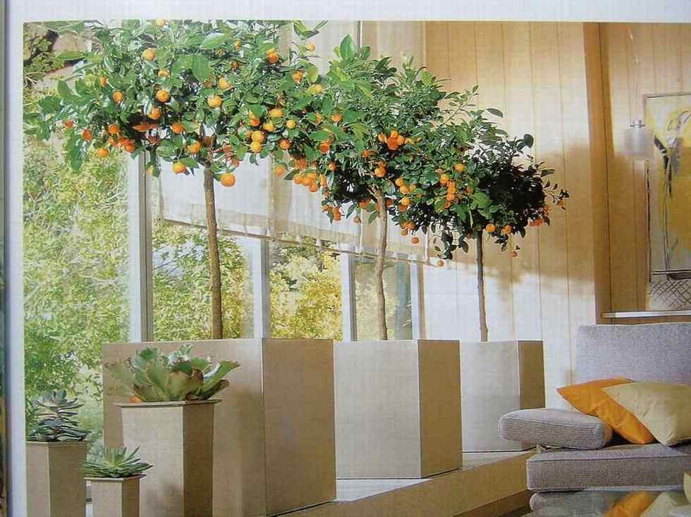 ��һ�ƣ���һ��������Ŀ��������˳�