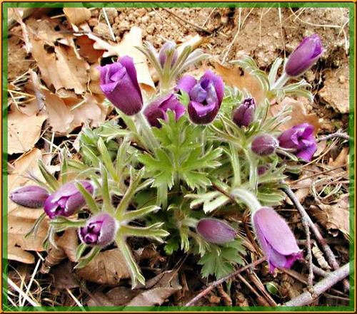 ����Ĵ���Ȼ��������