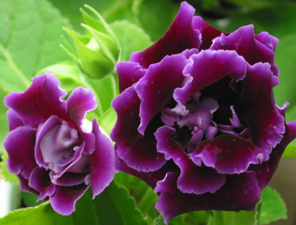 ����Ĵ���Ȼ��������