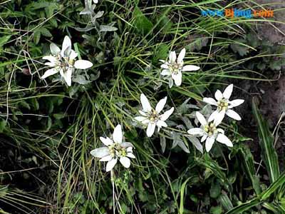 ����Ĵ���Ȼ��������