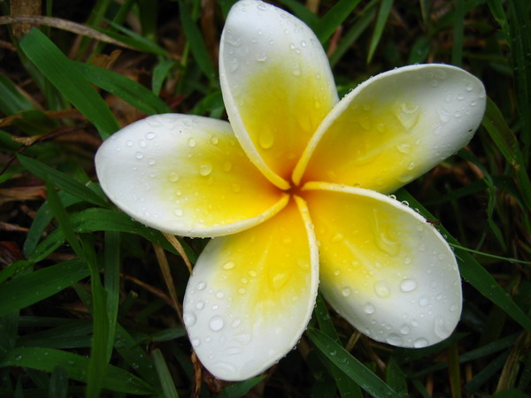 ����Ĵ���Ȼ��������