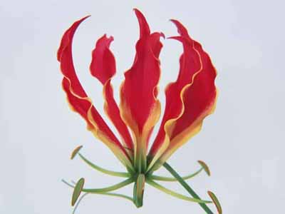 ����Ĵ���Ȼ��������