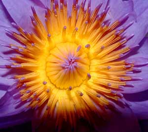 ����Ĵ���Ȼ��������