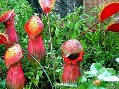 ����Ĵ���Ȼ��������