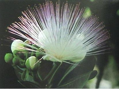 ����Ĵ���Ȼ��������