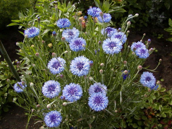 ����Ĵ���Ȼ��������