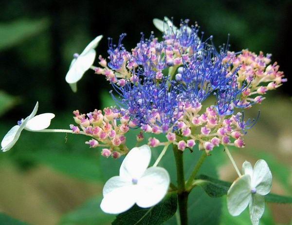 ����Ĵ���Ȼ��������