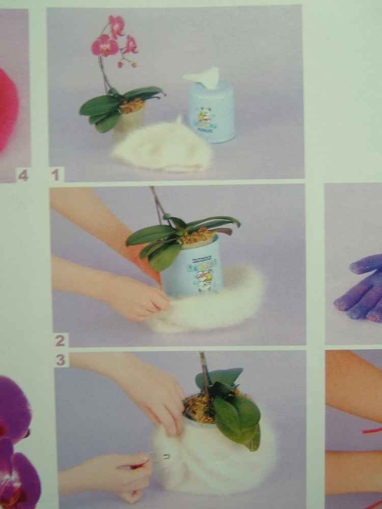 ��һ�ƣ���һ��������Ŀ��������˳�