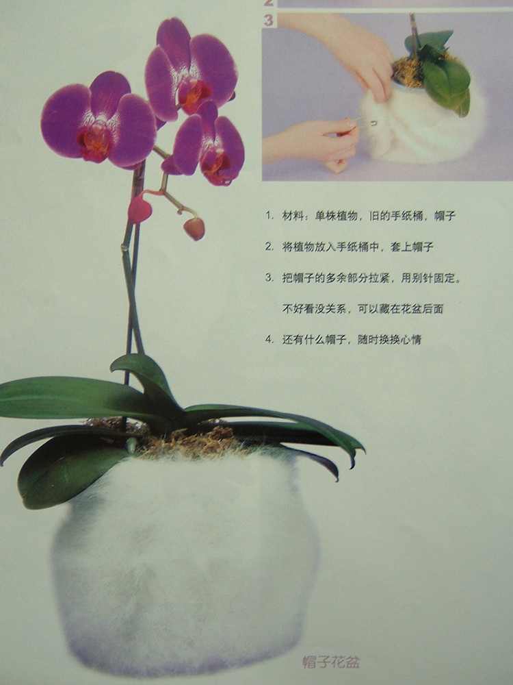 ��һ�ƣ���һ��������Ŀ��������˳�