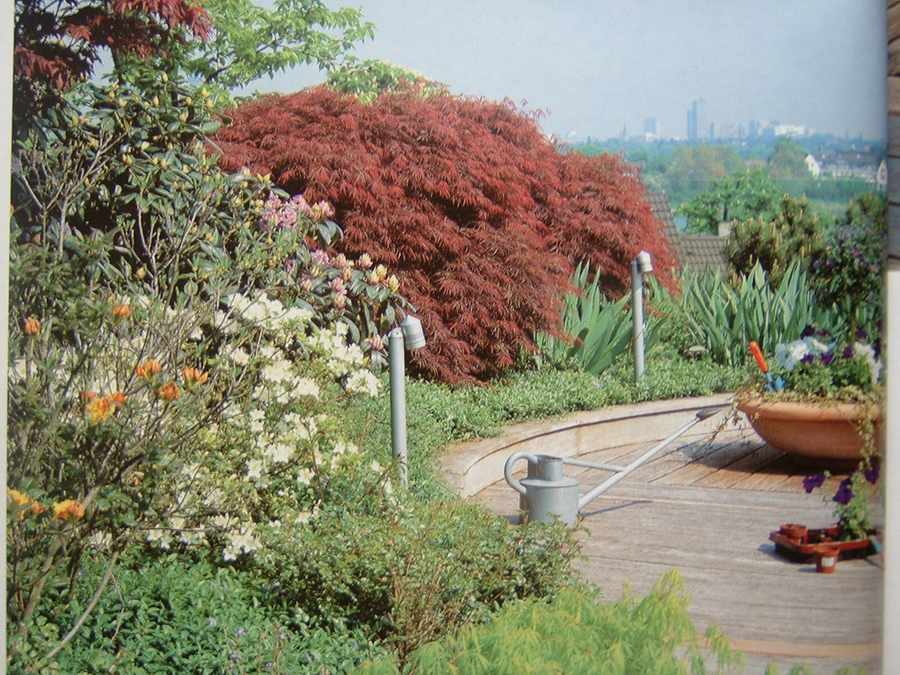 ��һ�ƣ���һ��������Ŀ��������˳�