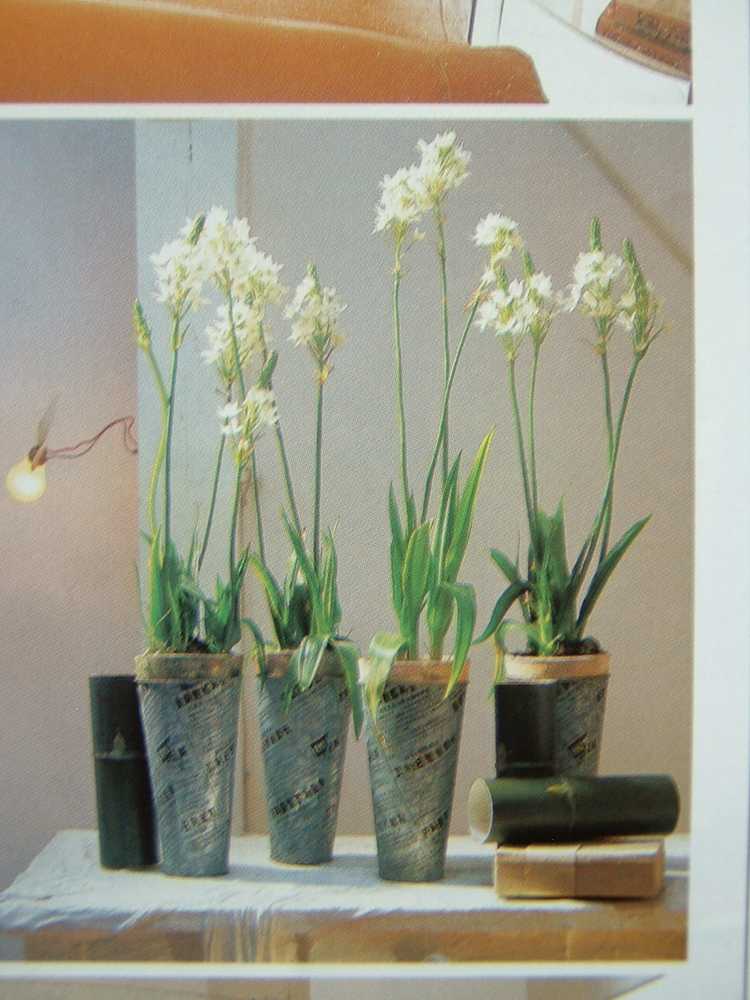 ��һ�ƣ���һ��������Ŀ��������˳�