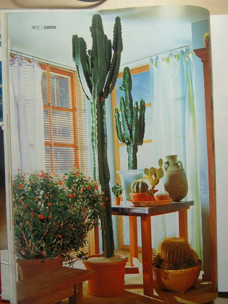 ��һ�ƣ���һ��������Ŀ��������˳�