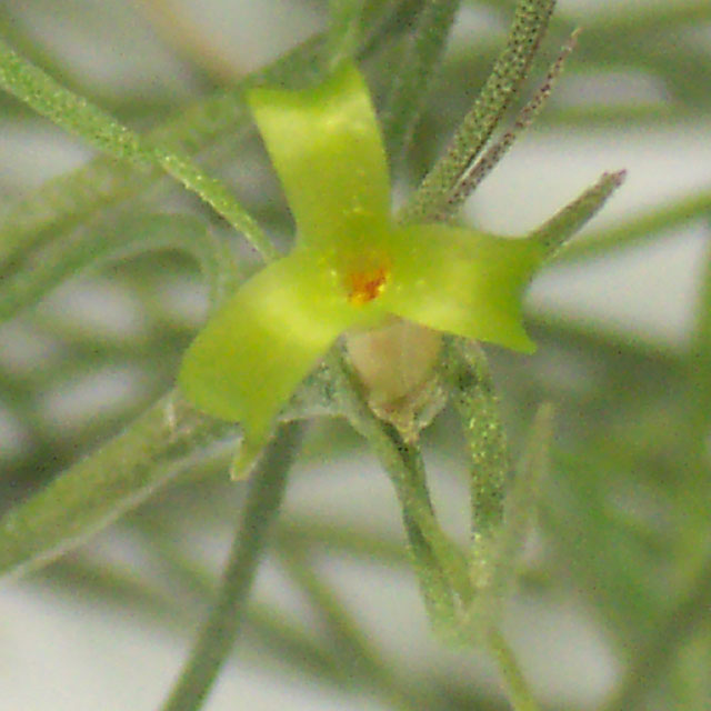 �ҵķ���֮�ҺͿ������棨10��15�ո��£�