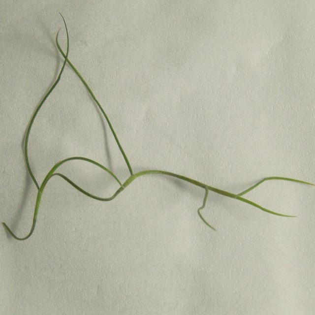 �ҵķ���֮�ҺͿ������棨10��15�ո��£�