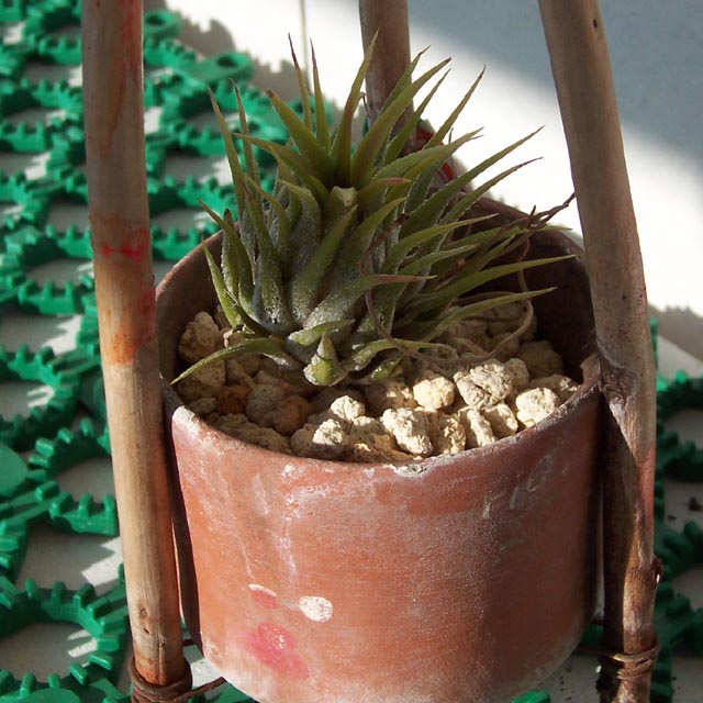 �ҵķ���֮�ҺͿ������棨10��15�ո��£�