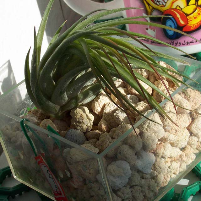 �ҵķ���֮�ҺͿ������棨10��15�ո��£�