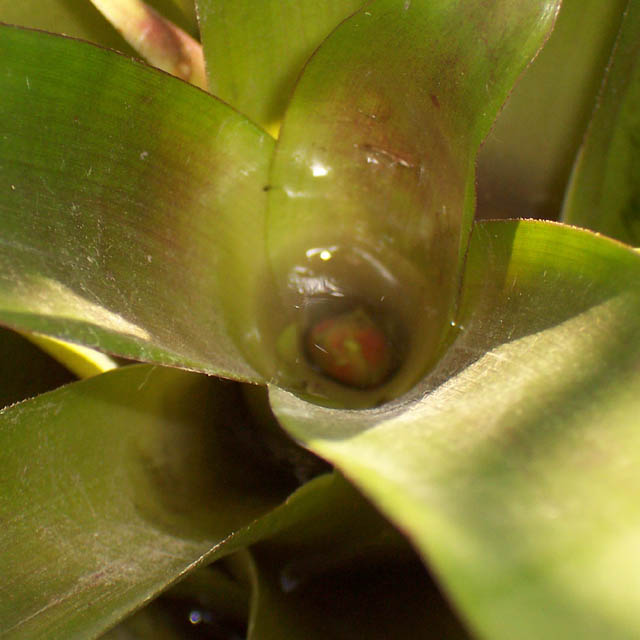 �ҵķ���֮�ҺͿ������棨10��15�ո��£�