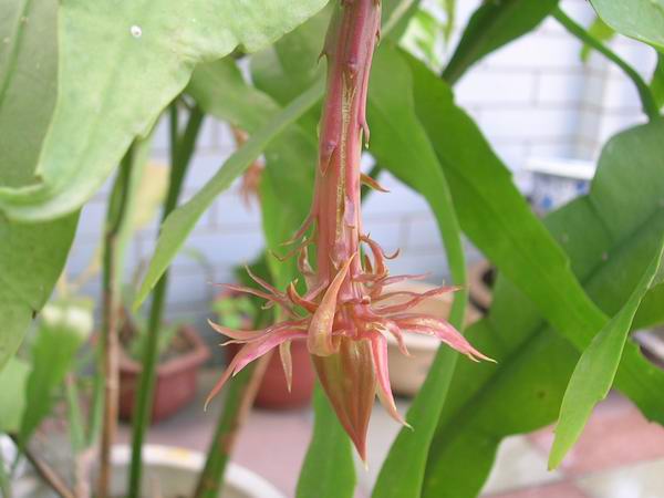 ɱ�ּҵġ�ׯ�ڵء�����ջ�(���¼ӳ�Ա����)