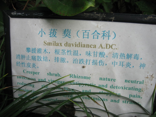 ֲ��԰���DD