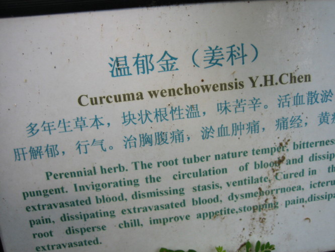 ֲ��԰���DD