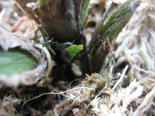 ���ֽ�������