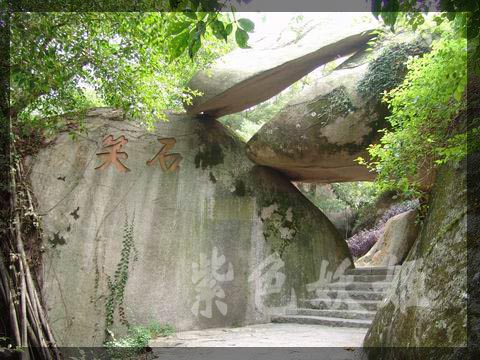 ����ֲ��԰��