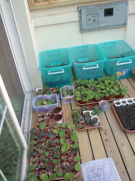 żҲ��������---���ҵ�������������ջ�